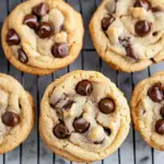 Best Homemade Chocolate Chip Cookies
