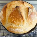 Speedy Same Day Sourdough Bread Speedy Same Day Sourdough Bread