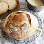 Speedy Same Day Sourdough Bread Recipe Speedy Same Day Sourdough Bread Recipe