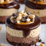 Chocolate Peanut Butter Mini Cheesecakes Chocolate Peanut Butter Mini Cheesecakes