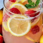 Sparkling Lemonade Punch Recipe